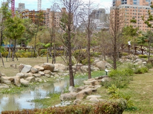 An urban park. The foreground is grass, followed by a small stream lined with river rocks, and beyond are more park and then skyscrapers in the distance. To the right is a foot bridge on which is visible a man doing Tai Chi.